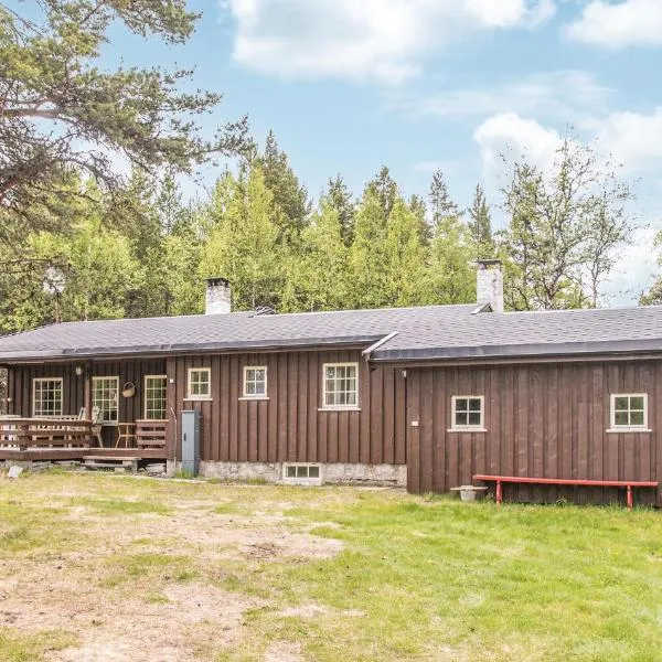 3 Bedroom Lovely Home In Tynset，位于廷瑟的酒店