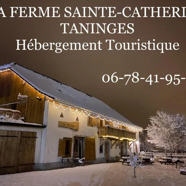 La Ferme Sainte Catherine，位于Mieussy的酒店