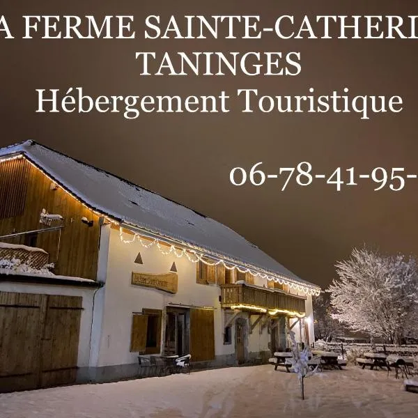 La Ferme Sainte Catherine，位于塔南日的酒店