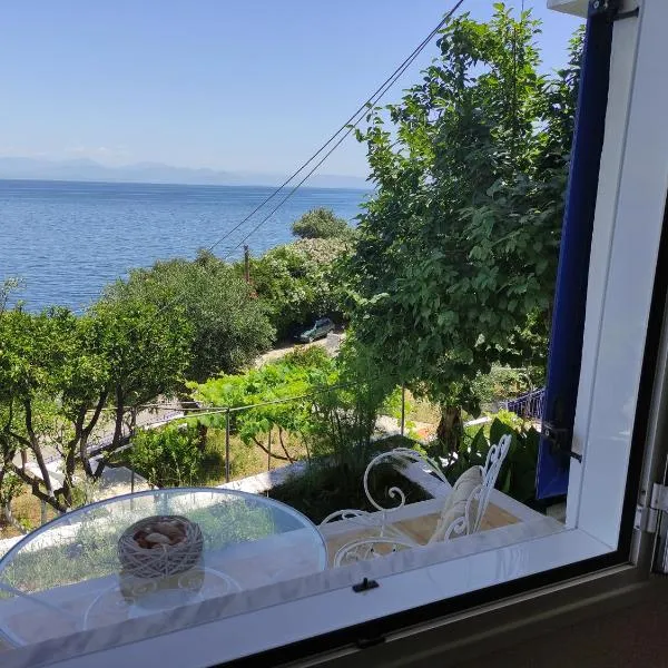 Blue and White Apartments 1，位于贝尼蔡斯的酒店