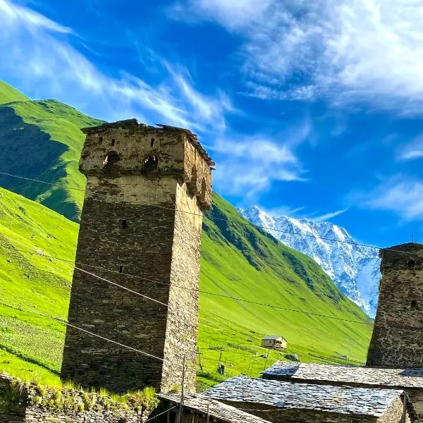 Nizharadze's Tower，位于乌树故里的酒店