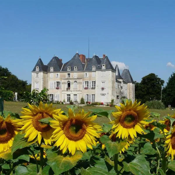 Château de Piolant，位于Saint-Rémy-sur-Creuse的酒店