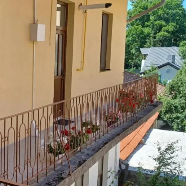 M20 Studios，位于克卢日-纳波卡的酒店