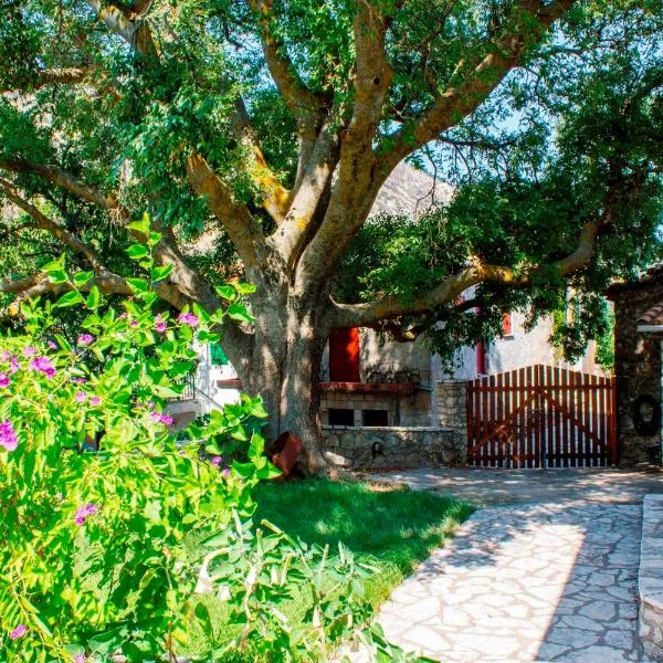 Menelia Cottage，位于Platístoma的酒店