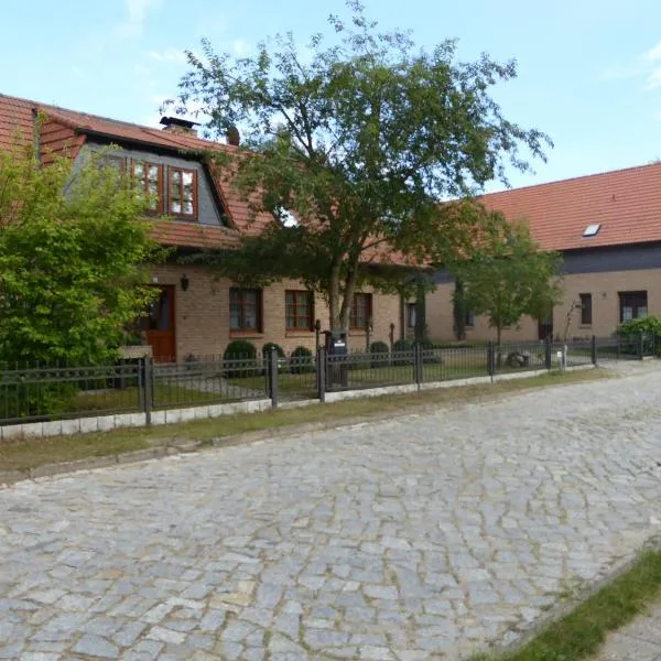 Ferienhof Rätzsee，位于Peetsch的酒店