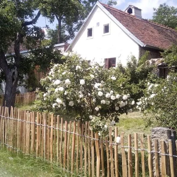Útulný domek s malou zahrádkou，位于Volfířov的酒店