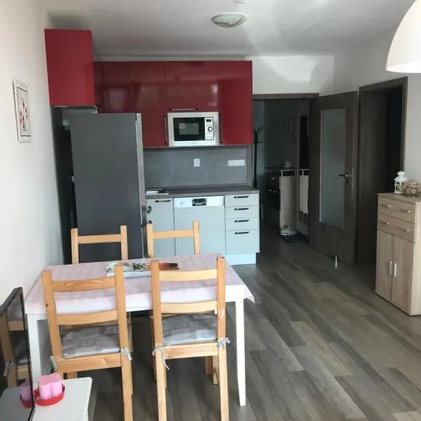 Apartmán Plovárna，位于Černovice的酒店