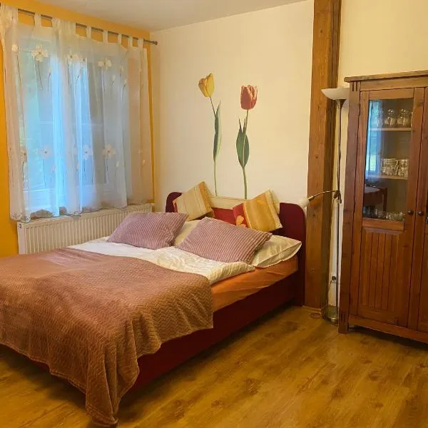 Alba Apartmany Železná Ruda，位于泽勒兹纳·鲁达的酒店