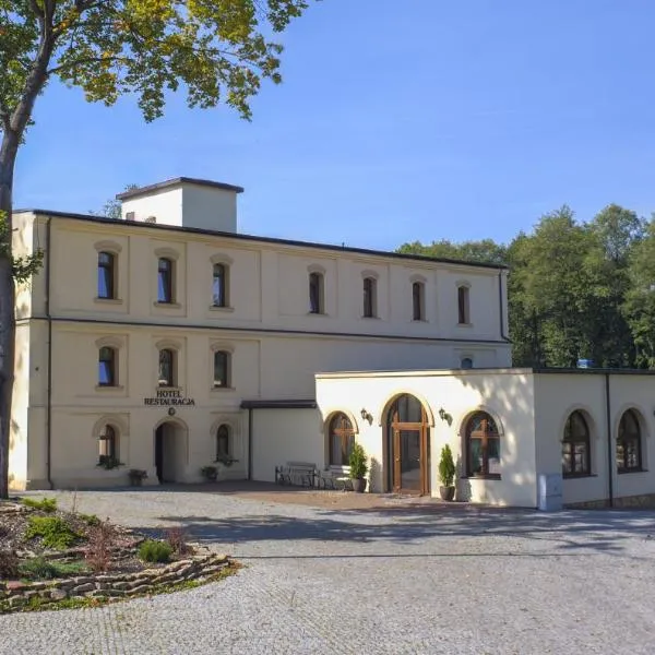 斯塔利梅林酒店，位于Suchedniów的酒店