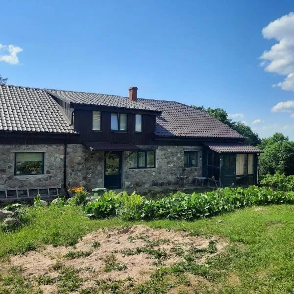 Ružēni Apartment，位于Sabile的酒店