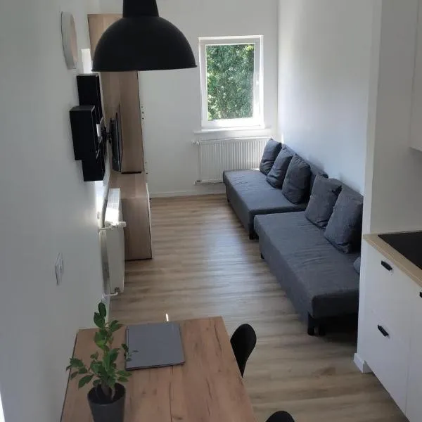 Studio 4 Piętro II，位于索波特的酒店