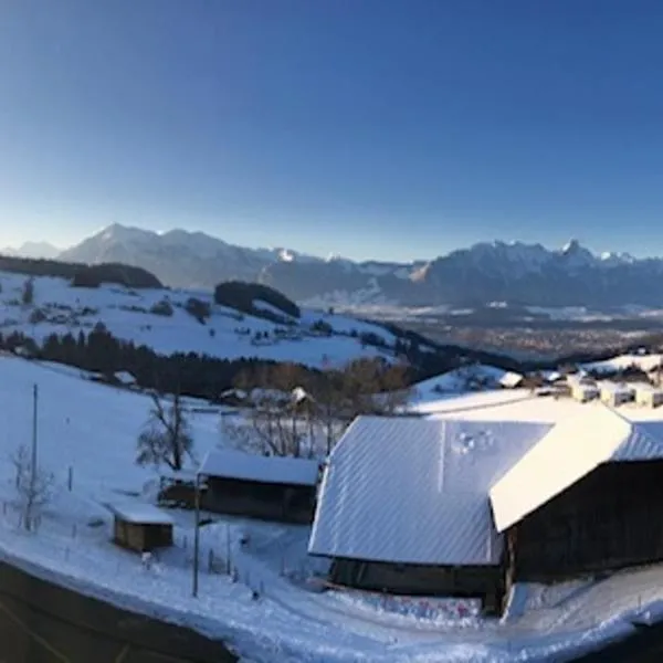 Studio der Alpen，位于图恩的酒店