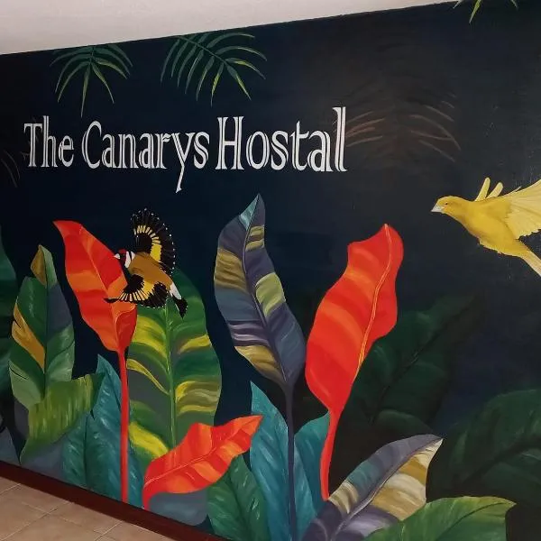 The Canarys Hostal，位于多斯克布拉达斯的酒店