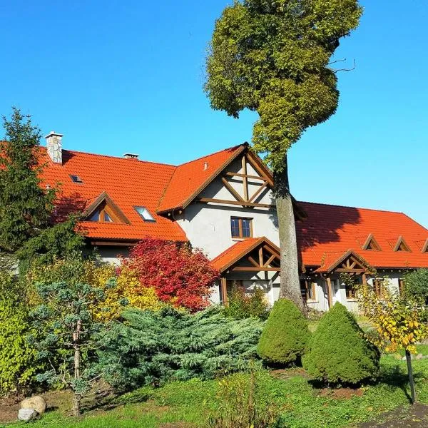 Dom Uzdrowisko，位于Kępiny Małe的酒店