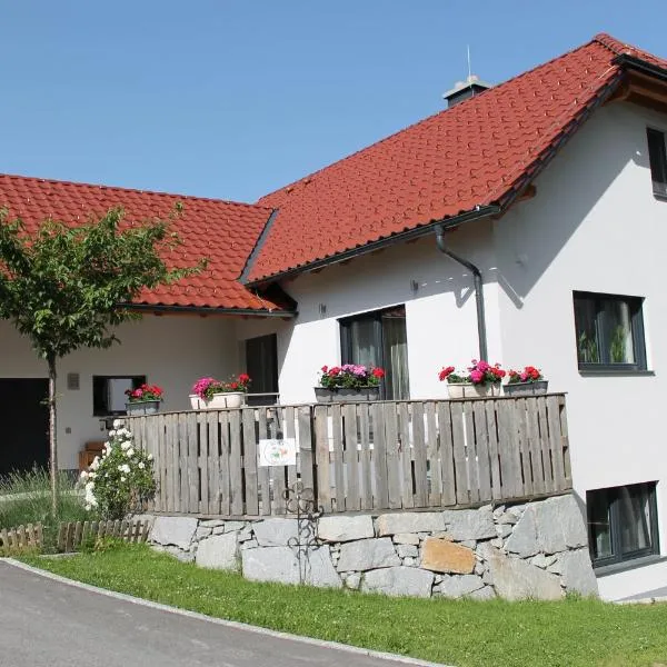 Desl´s little farm，位于Grünbach的酒店