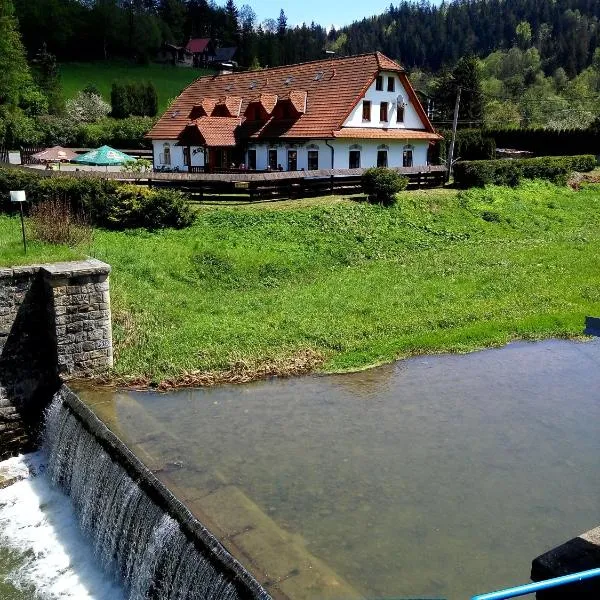 Penzion U Bušů，位于Malá Bystřice的酒店