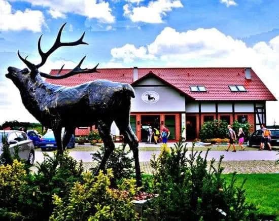 Pensjonat i Restauracja Hubertówka，位于Wierzchowice的酒店