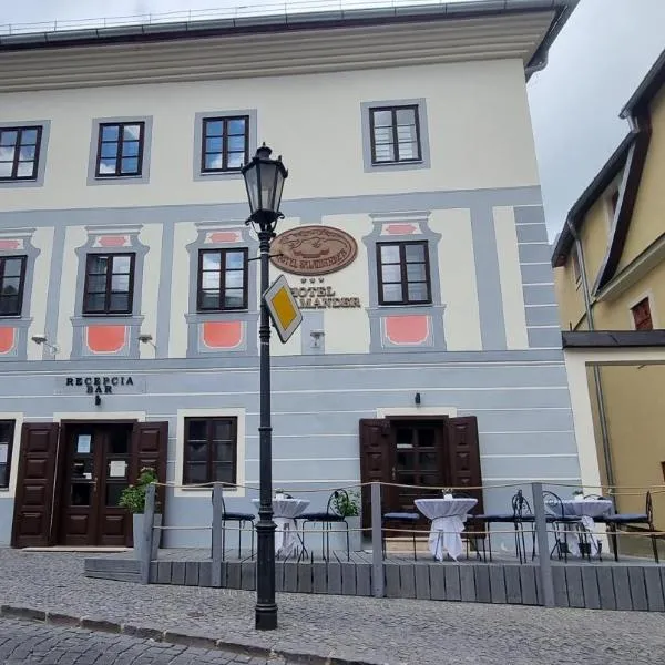 Hotel Salamander，位于Svätý Anton的酒店