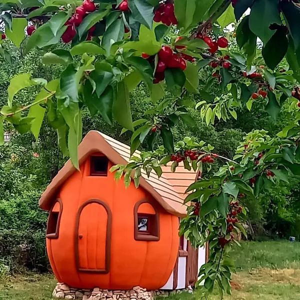 Krka Magic Pumpkin，位于Rupe的酒店