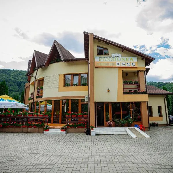 Pensiunea Floare de Colţ，位于Valea Hotarului的酒店