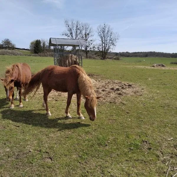Insolite! Plusieurs Gîtes dans Ferme Equestre，位于Rehaincourt的酒店