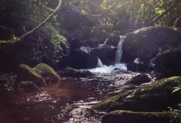 Hospedaria Kanach' - Pequena Cabana Arev com Cachoeira Particular，位于蒙特韦尔迪的酒店