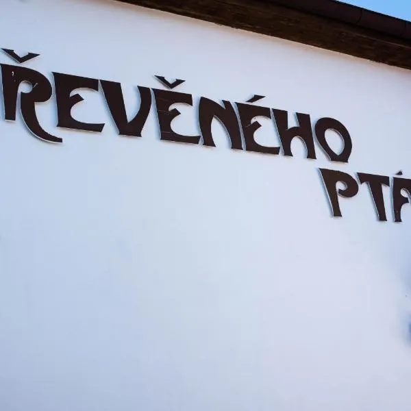 Penzion U Dřevěného ptáka，位于Protivín的酒店