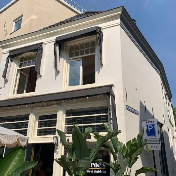 Café Zuiderlicht，位于迪温特的酒店