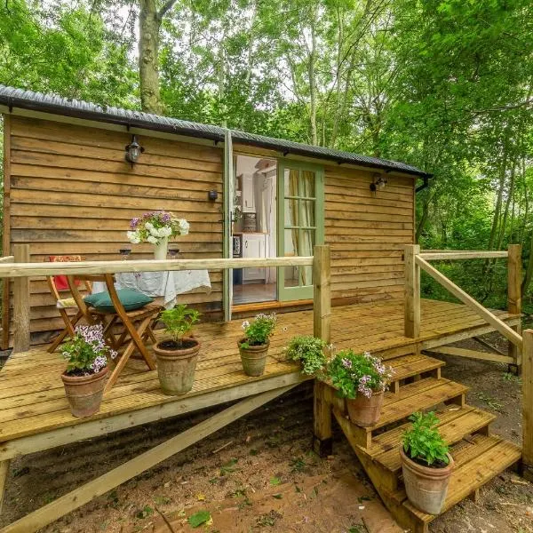 Woodland Retreat Shepherd's Hut，位于Wilby的酒店