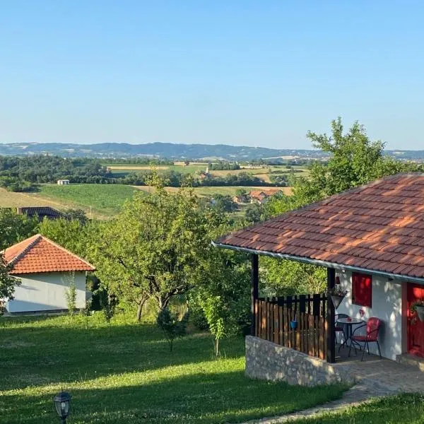 Bas u inat babarogama，位于Nemenikuće的酒店