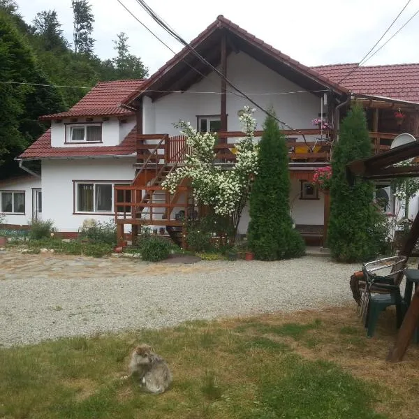 Casa Trandafirilor，位于克尔茨什瓦拉乡的酒店