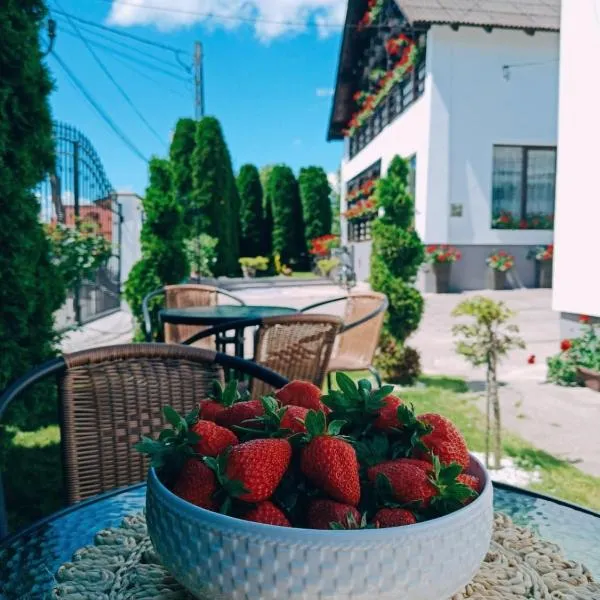 Pensiunea Casa Andreea - Bârsana Maramureș，位于Bîrsana的酒店