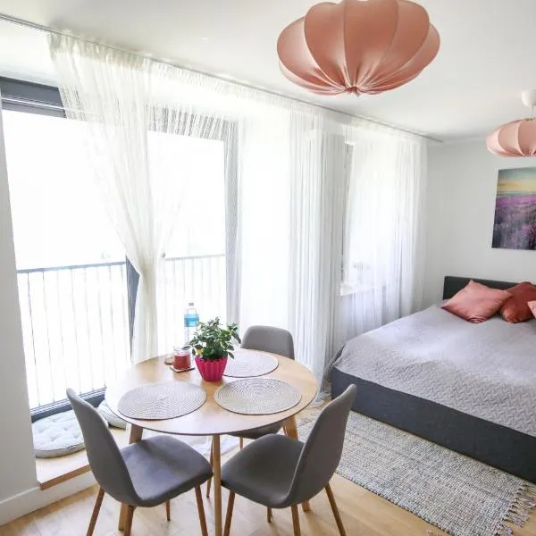 Seaside apartment Albatross, spa and pool，位于Ķesterciems的酒店