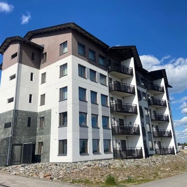 Ylläs Chalets IX A9104，位于易拉斯加威的酒店