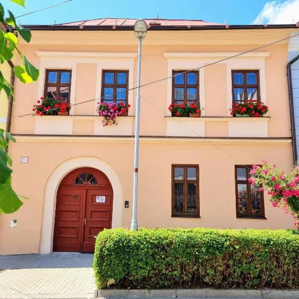 Apartment in a historical house in the center of Levoča，位于Doľany的酒店