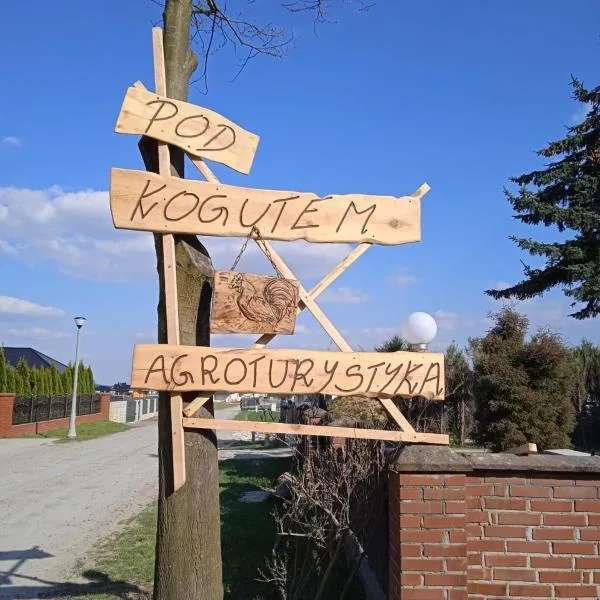 Agroturystyka Pod Kogutem，位于Zamość的酒店