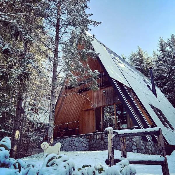 Forest House Stella - A frame cabin，位于马考巴尔贾的酒店