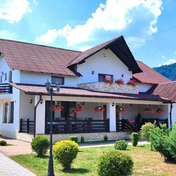 Pensiunea Sub Horiță，位于Leordina的酒店