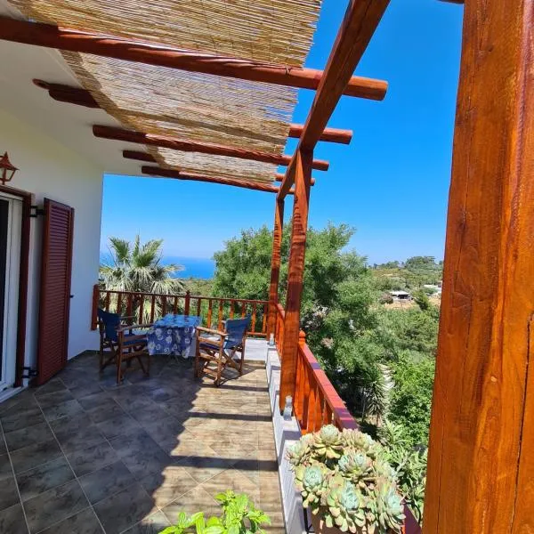 SPITIKARIOTIKO Pergola Home，位于Raches的酒店