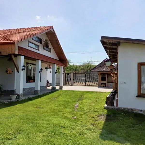 Casa Bobo 10，位于Găneşti的酒店