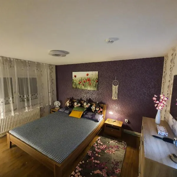 2 Bedroom Apartment with Terrace & Beautiful View，位于Vöhrenbach的酒店