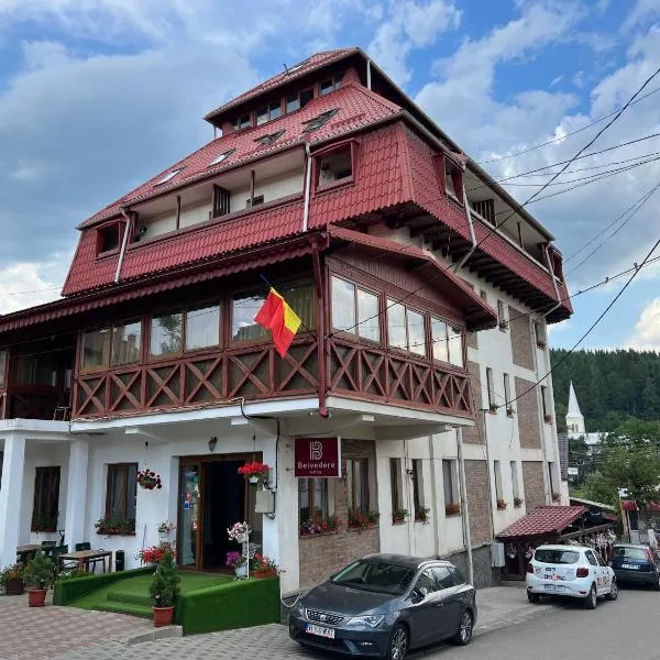 贝尔维德酒店，位于Şaru Dornei的酒店