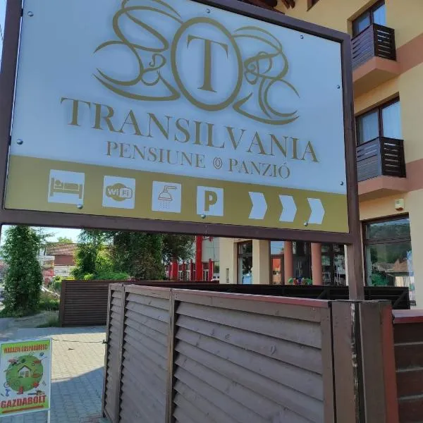 Pensiunea Transilvania，位于Ghipeş的酒店