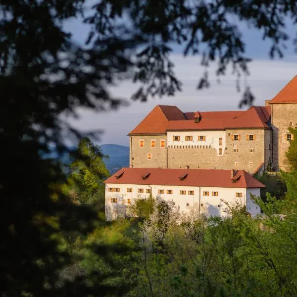 Rooms & Apartments Podsreda Castle，位于Bistrica ob Sotli的酒店