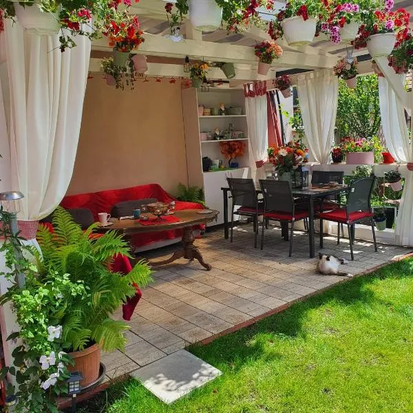 Casa Doina，位于莱斯诺夫的酒店