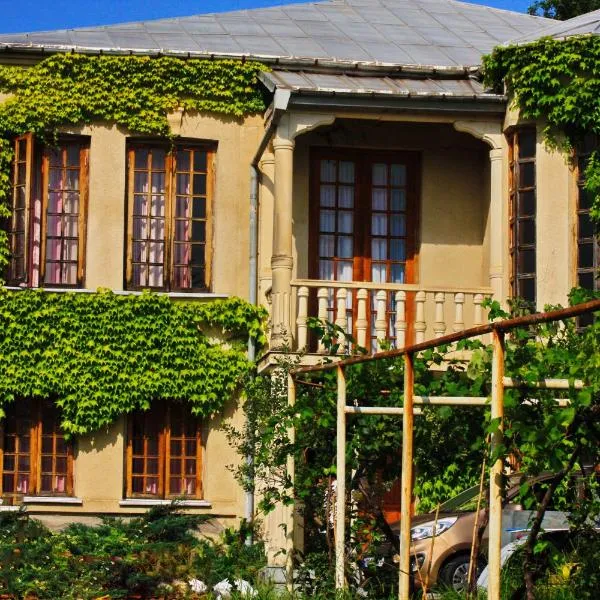 Maximus Wine Cellar,Bagdati Wine House，位于Didvela的酒店