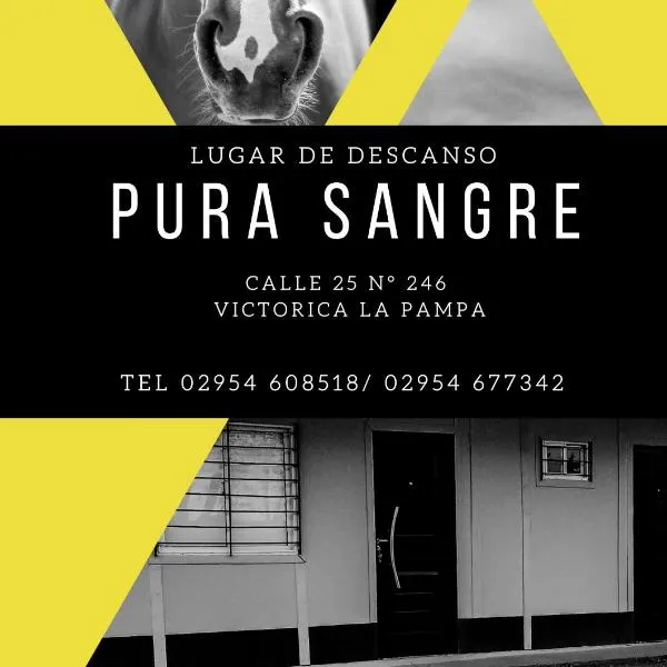 PURA SANGRE，位于Victorica的酒店