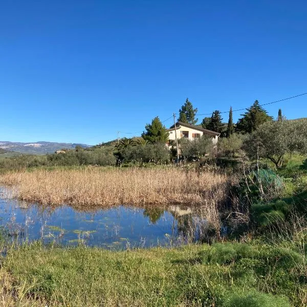 La Casa Delle Olive，位于Gagliano Castelferrato的酒店
