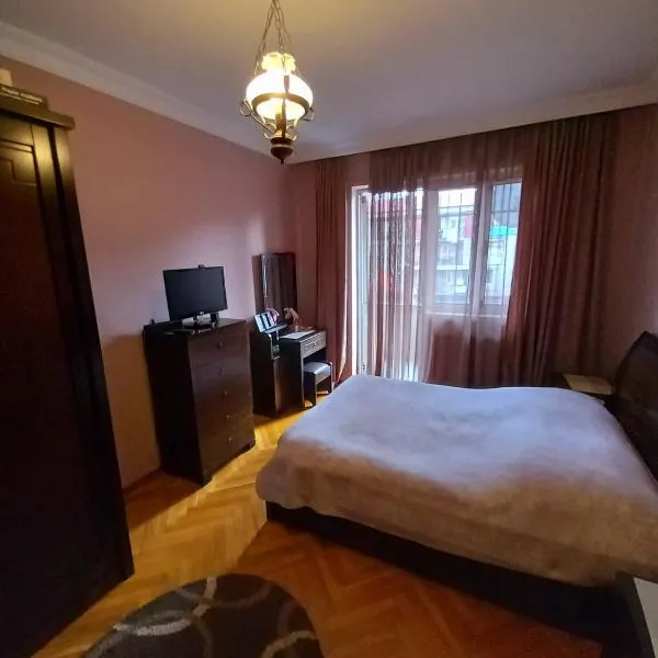 Apartment Rustaveli 162，位于科布列季的酒店