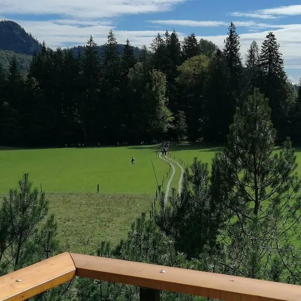 Karavanke mountain hut，位于耶塞尼采的酒店